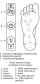Thumb_2_50045f40df64