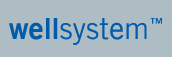 Wellsystem GmbH