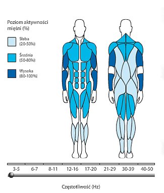 Platforma Bodyhelp-poziom aktywności mięśni