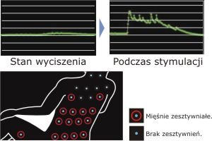 Fotel 			masujący Sanyo 2030 - wyświetlacz