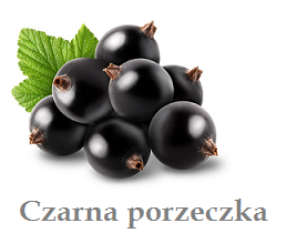 Czarna porzeczka - nuta zapachowa świecy do masażu EMOTION